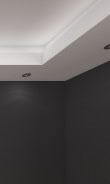 raised ceiling with inset lighting