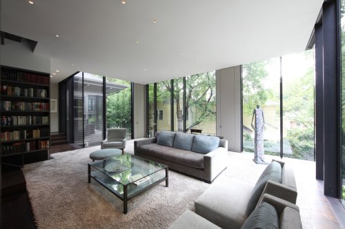 Historic Ansley Park Glass House Remodeled Living Area